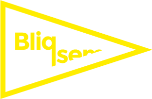 bliqsem logo