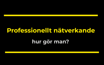 Professionellt nätverkande – hur gör man?
